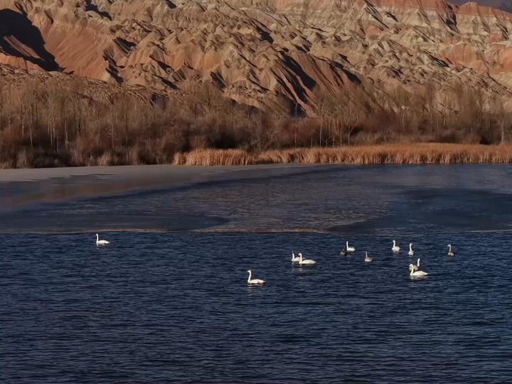 青海貴德：冬日丹霞湖泊相映成景