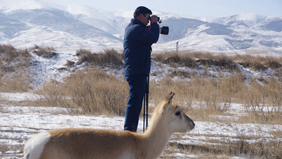 &ldquo;1個&rdquo;和&ldquo;66個&rdquo;：青海湖畔特別的&ldquo;團(tuán)圓&rdquo;