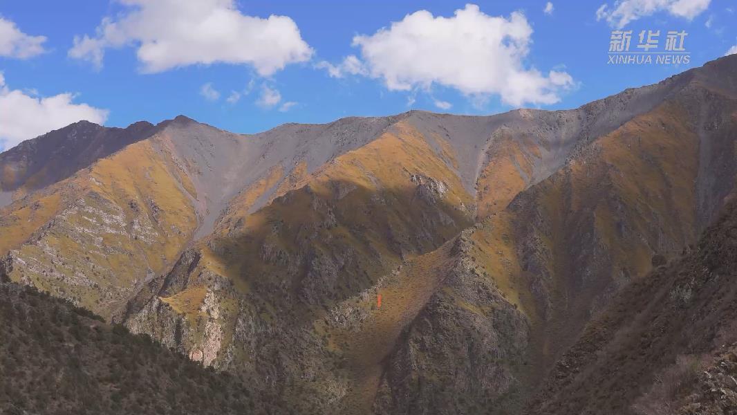 4362張照片！他們?cè)谶@里堅(jiān)持10年開(kāi)展雪豹種群動(dòng)態(tài)研究